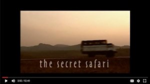 Icon The Secret Safari